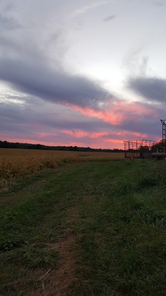The Roller of Spring Valley, Wisconsin: "Sunset at my farm, 50 MILES EAST OF MSP."