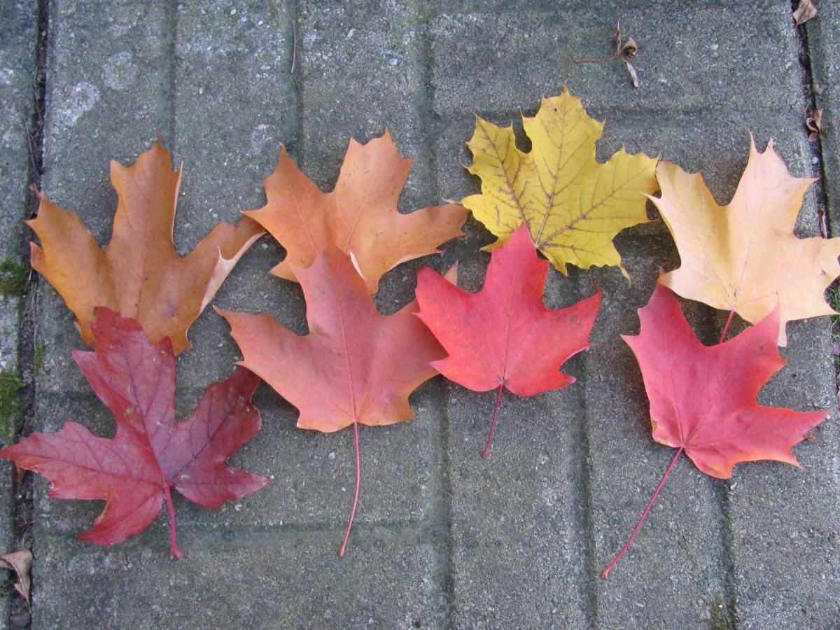 ‘Imagine the possibilities, had the booze industry lavished support on the great writers, poets and filmmakers of the ages&nbsp;…’