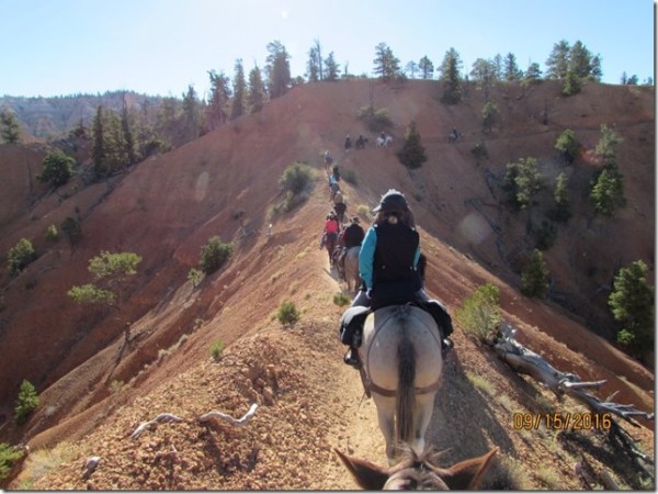 161113bbcut-puckerbutt