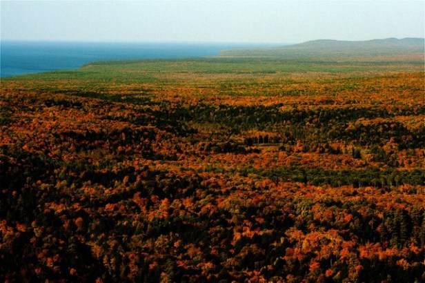 161113bbcut-towardporcupines