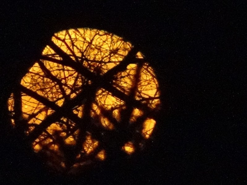 161116bbcut-supermoon