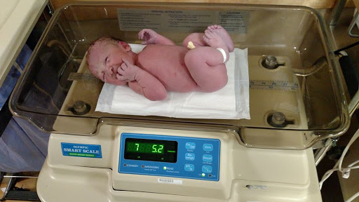 161117bbcut-babyonscale