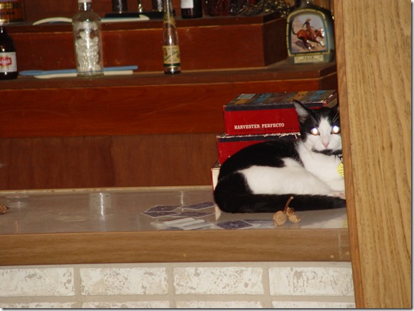 161119bbcut-badmaynard