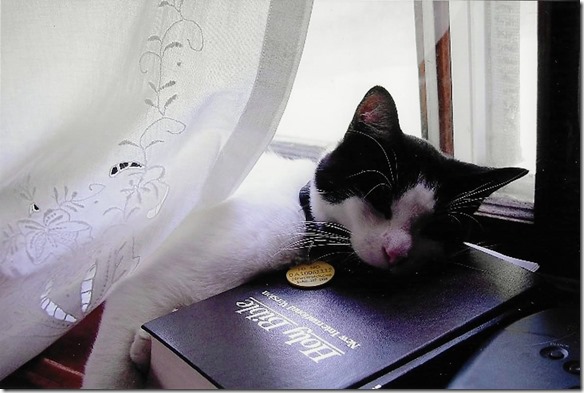 161119bbcut-goodmaynard