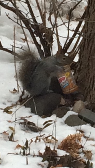 170102bbcut-skippysquirrel