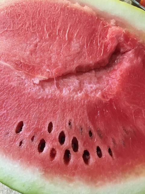 170112bbcut-watermelon2