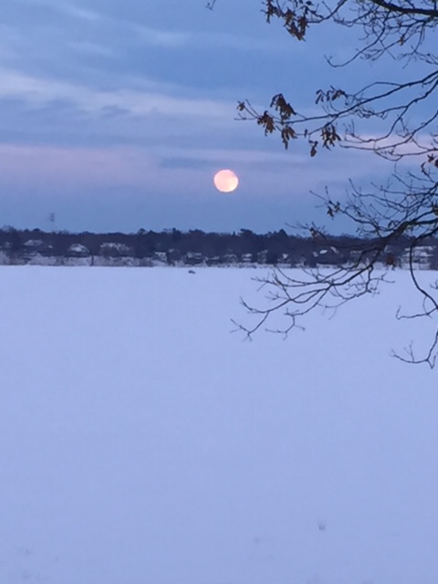 170113bbcut-moonrise