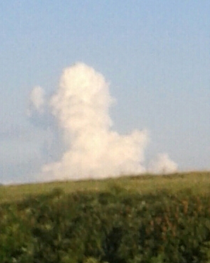 170121bbcut-poodlecloud