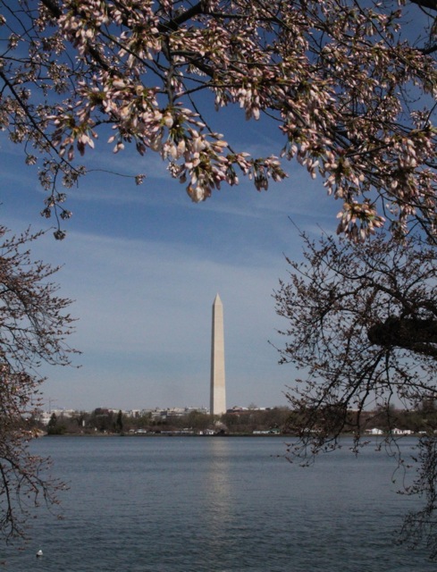 170316bbcut-DCspring3