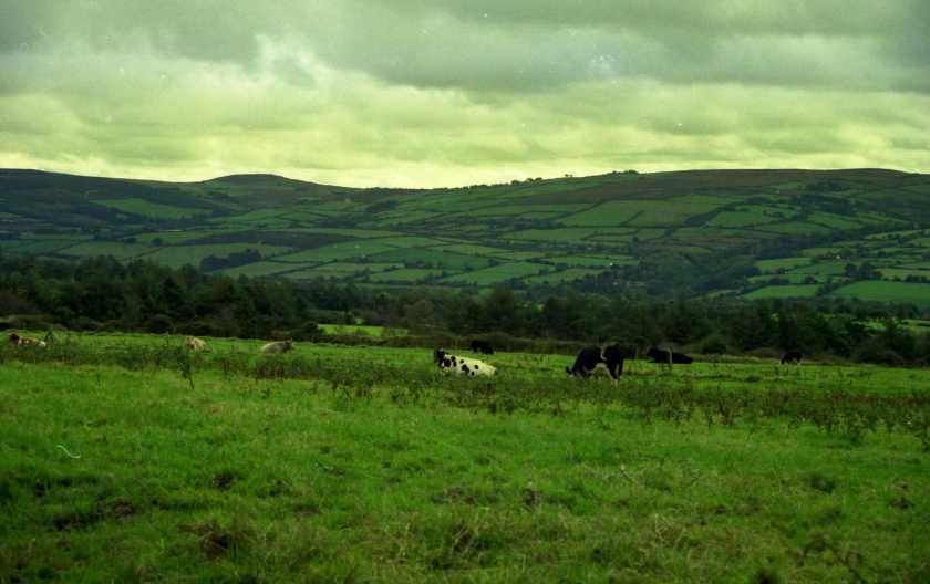 170318bbcut-Ireland2