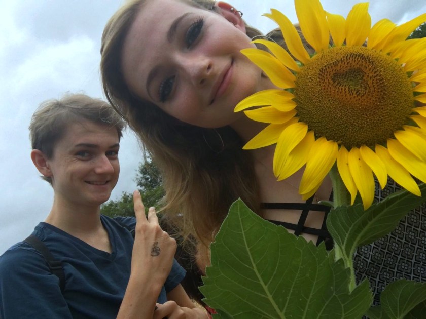 170803bbcut-sunflowers1