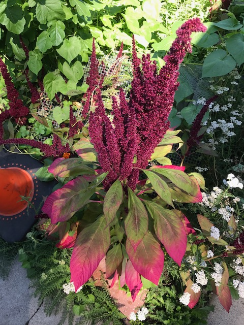 170808bbcut-weatherday2