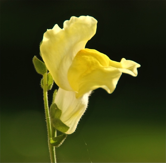 170828bbcut-backlighting3