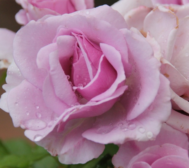 170830bbcut-santafe2