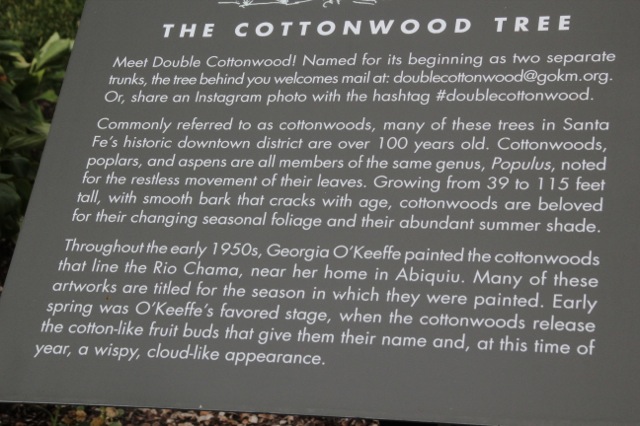 170901bbcut-cottonwood2