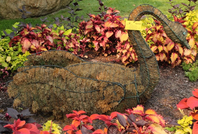 170913bbcut-kalamazoo6