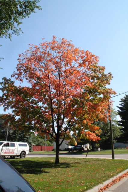 170918bbcut-swedepic4