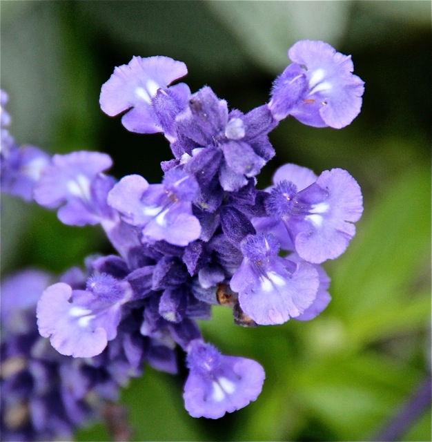 170919bbcut-minnehaha1