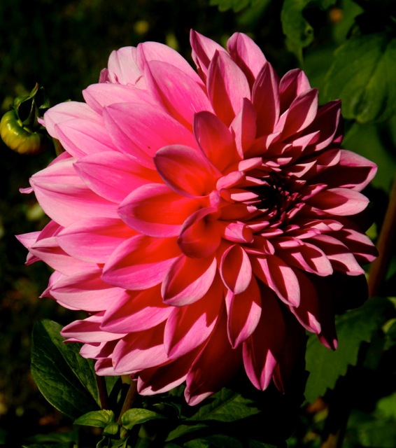 171016bbcut-octobercolors7