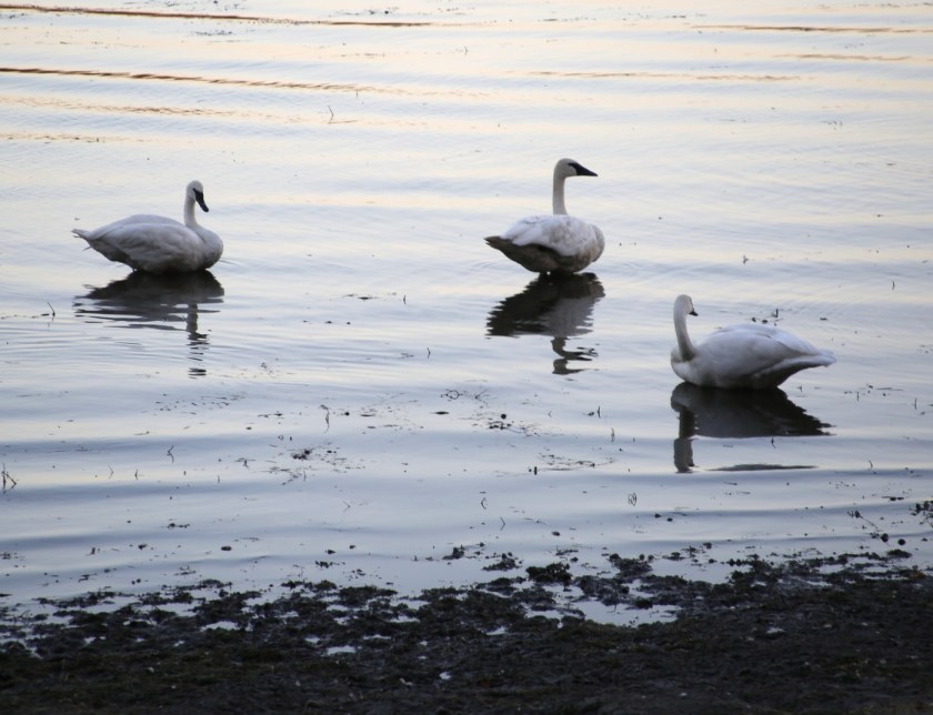 171023bbcut-fallcolors1