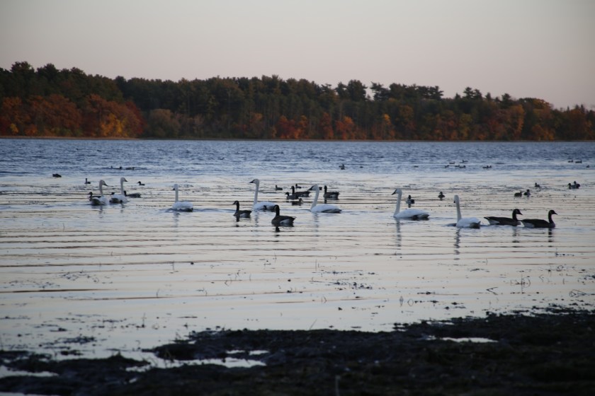 171023bbcut-fallcolors4