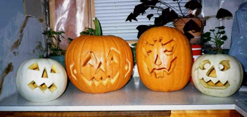 171031bbcut-pumpkins4