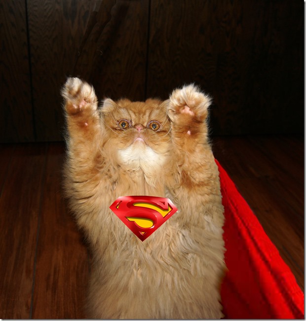 171031bbcut-superkitty