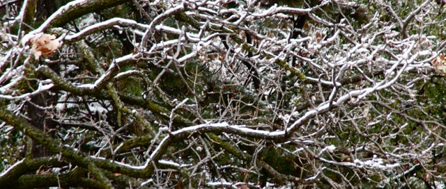 171106bbcut-firstsnow2