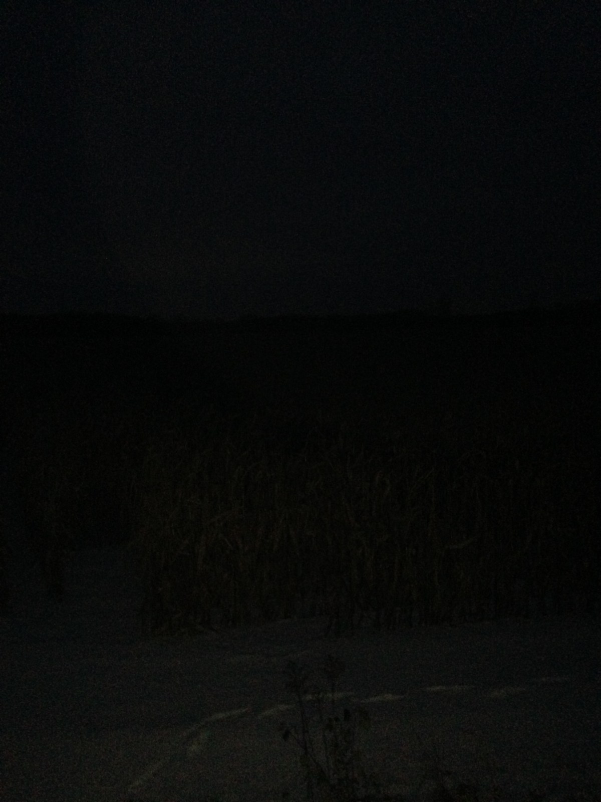 In honor of Veterans Day . .&nbsp;.