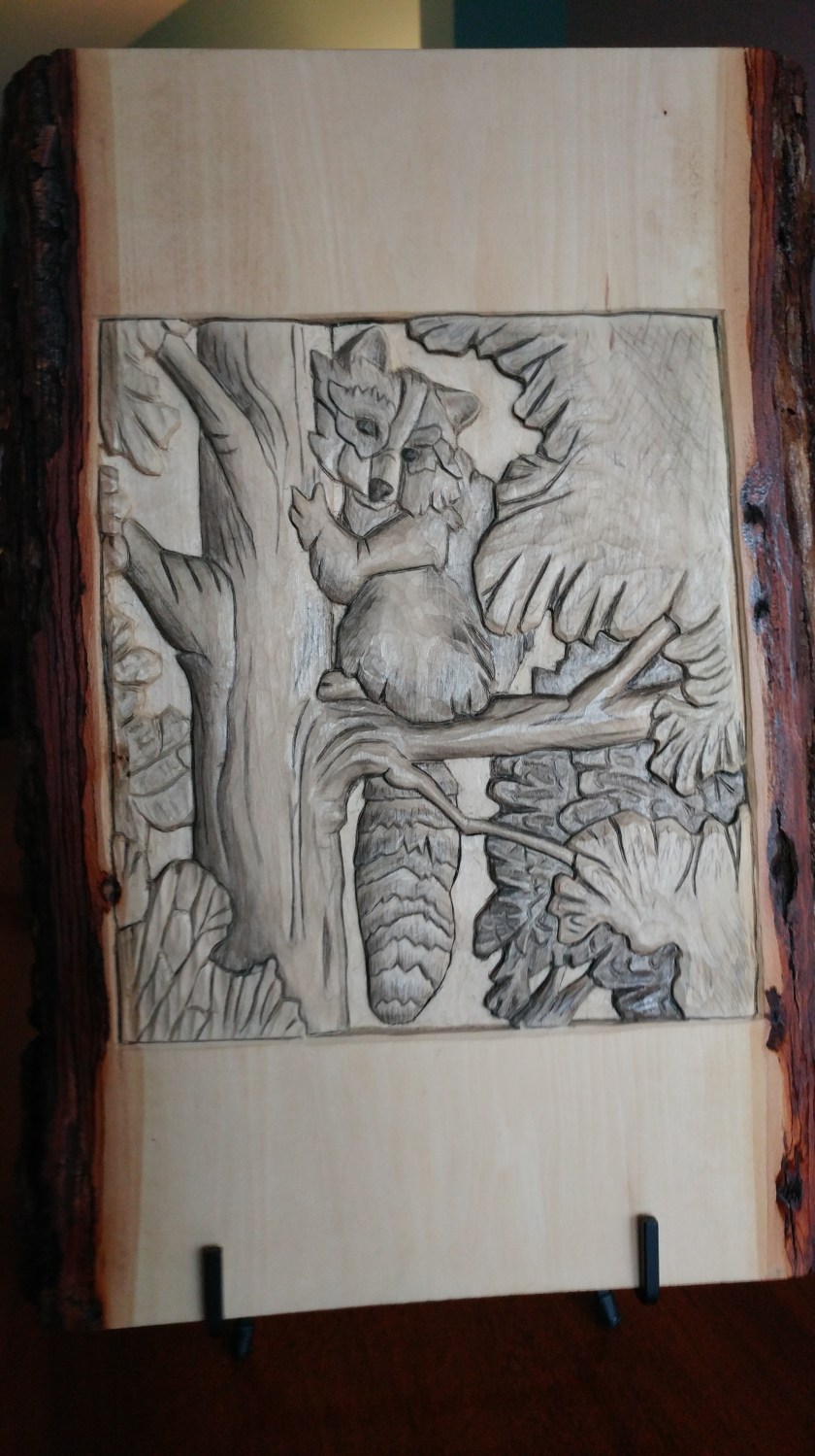 171114bbcut-raccoon1