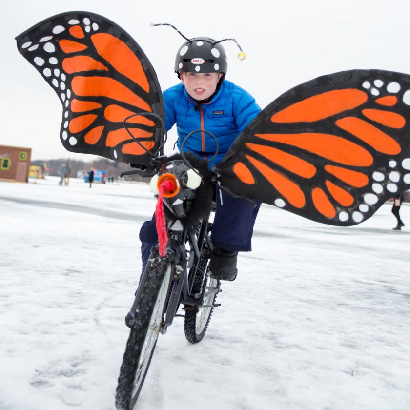 180217bbcut-butterflyboy