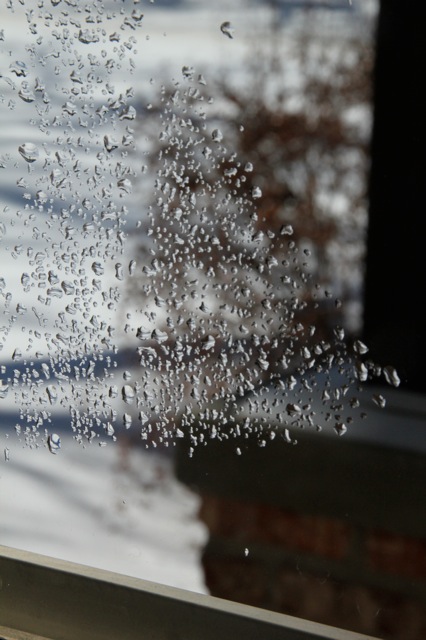 180224bbcut-frostbirds4