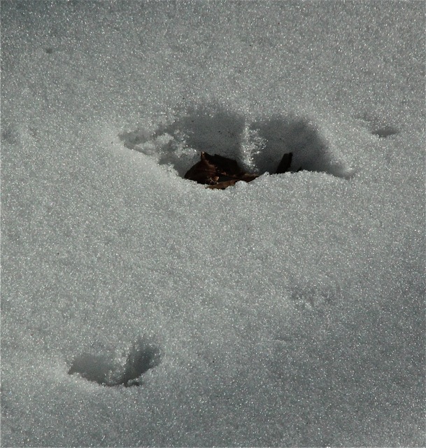 180316bbcut-snowmelt2