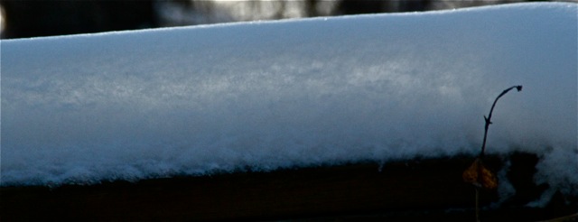 180405bbcut-snow3