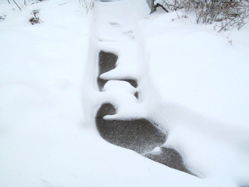 180406bbcut-snowpics2