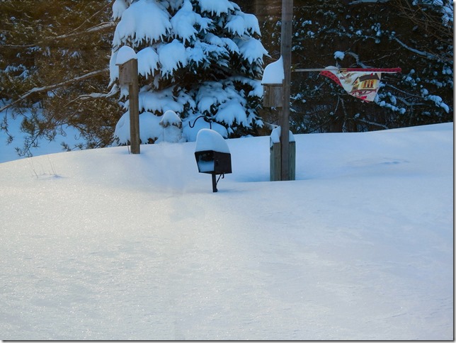 180416bbcut-snowstorm2