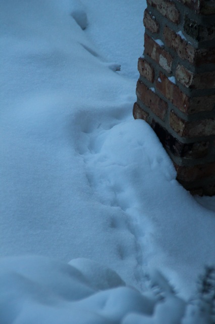 180419bbcut-presnow3