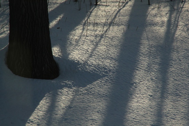 180423bbcut-icicles2