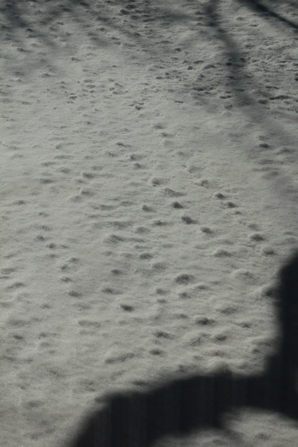 180423bbcut-icicles5