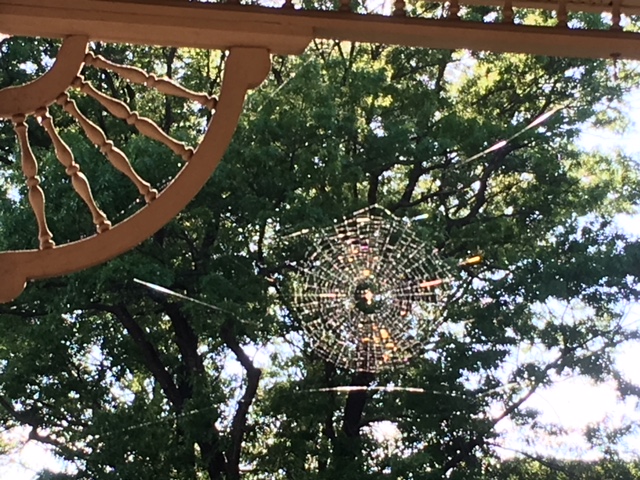 180606bbcut-spiderweb2