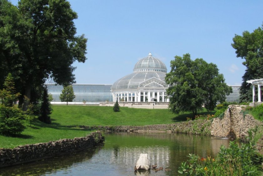 180816bbcut-frogpond2