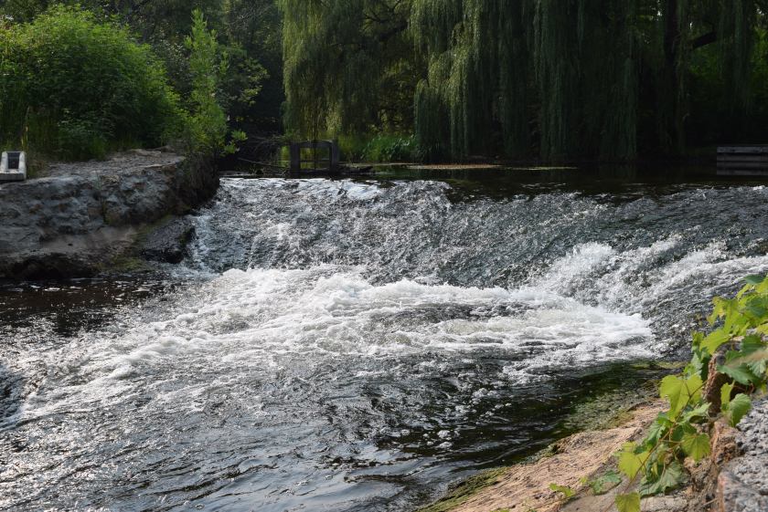 180816bbcut-minnehaha2