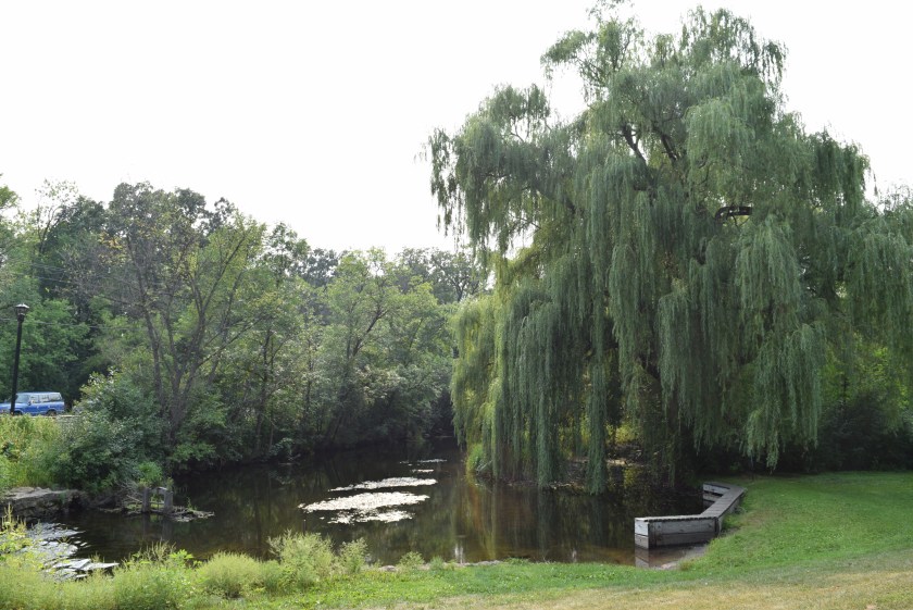 180816bbcut-minnehaha3