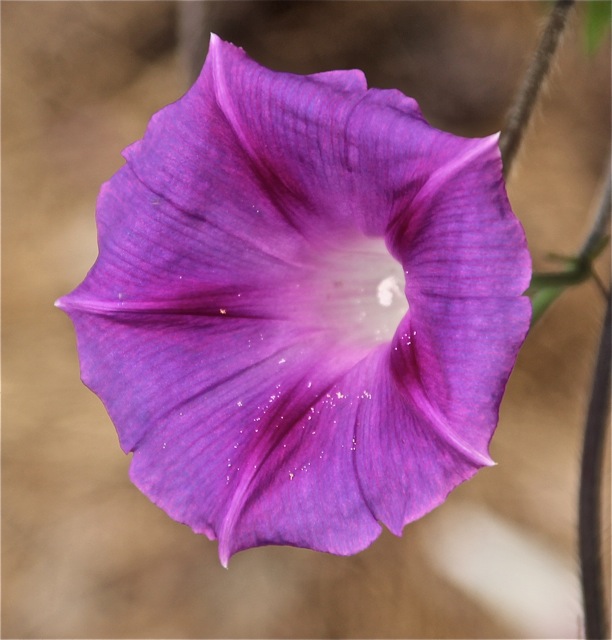 180829bbcut-compost3