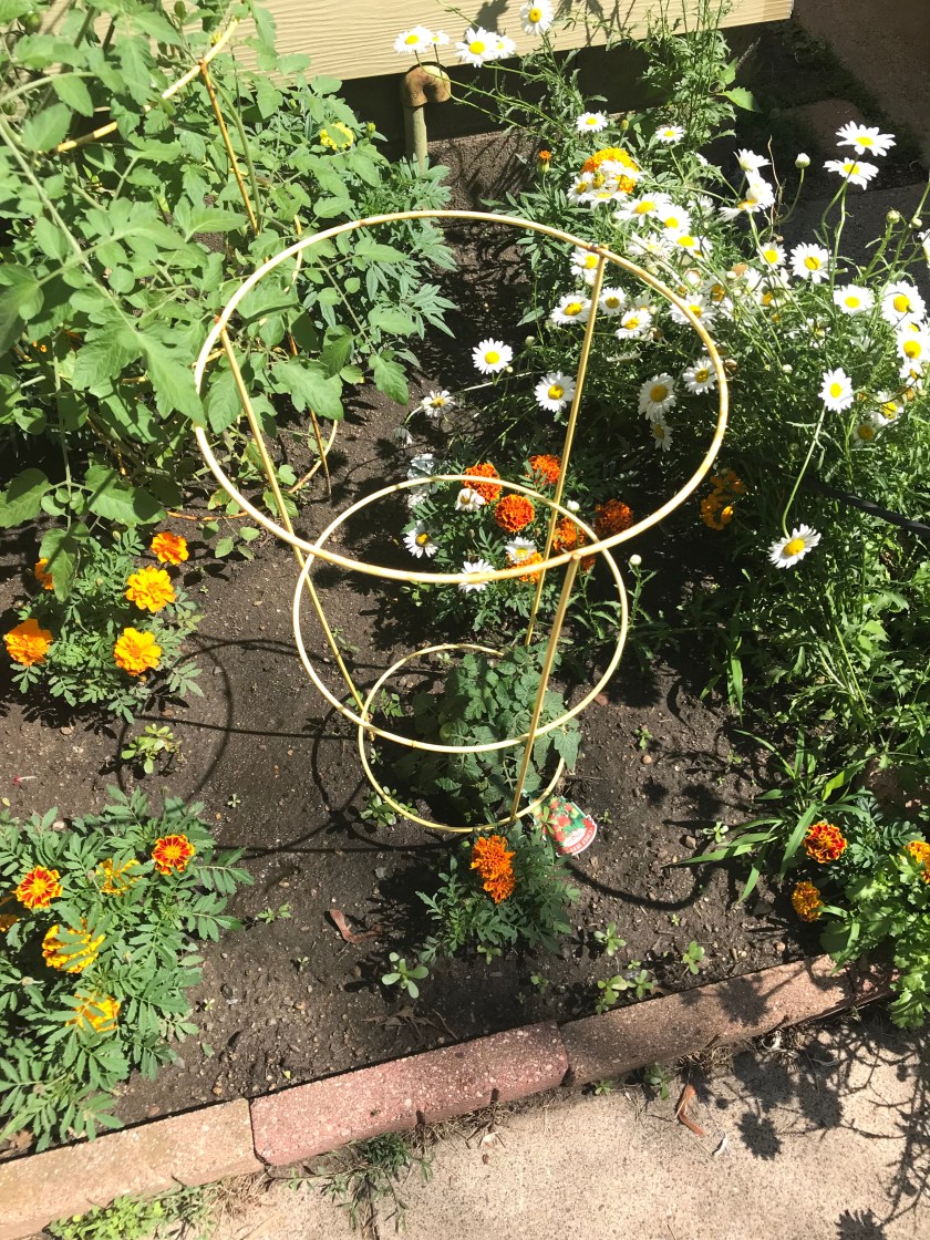 180911bbcut-cherrytomatoes