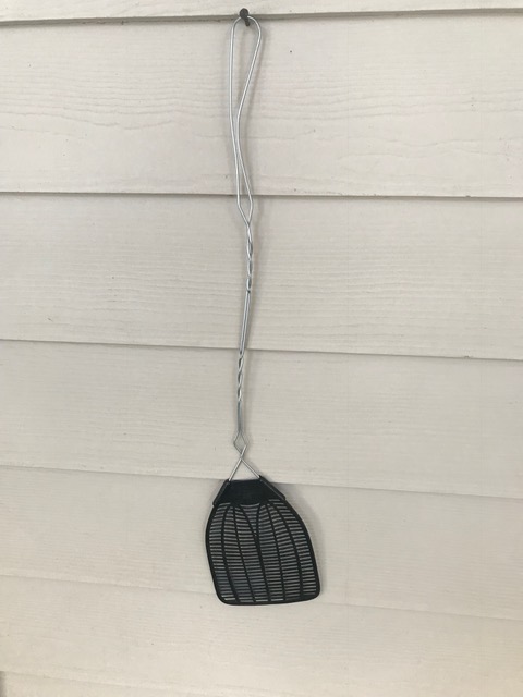 180917bbcut-flyswatter