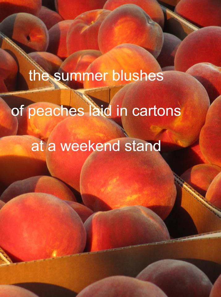 180923bbcut-peachhaiku