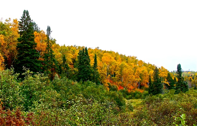 181017bbcut-superior1