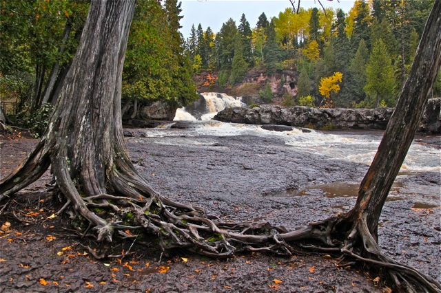 181017bbcut-superior5