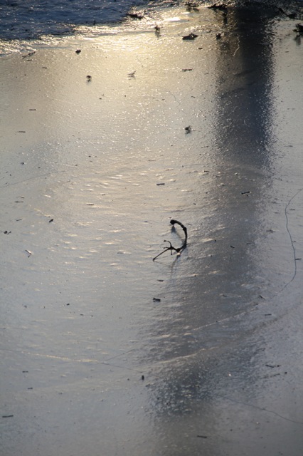 190123bbcut-iceyard2